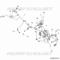 ELECTRICA, HARNESS