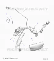 ELECTRICA, HARNESS, MAIN WIRE