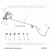 ELECTRICA, WIRE HARNESS, REAR