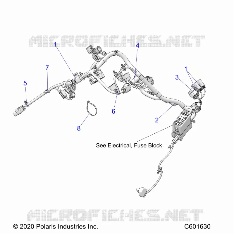 ELECTRICA, WIRE HARNESS, MAIN