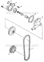 BOMBA DE AGUA WIDETRAK LX 0982065 and EUROPEAN WIDETRAK LX E982065 (4943884388C011)