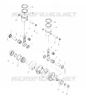 PISTON AND CIGUEÑAL (4909530953019A)