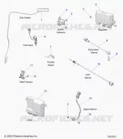 ELECTRICA, COMPONENTS