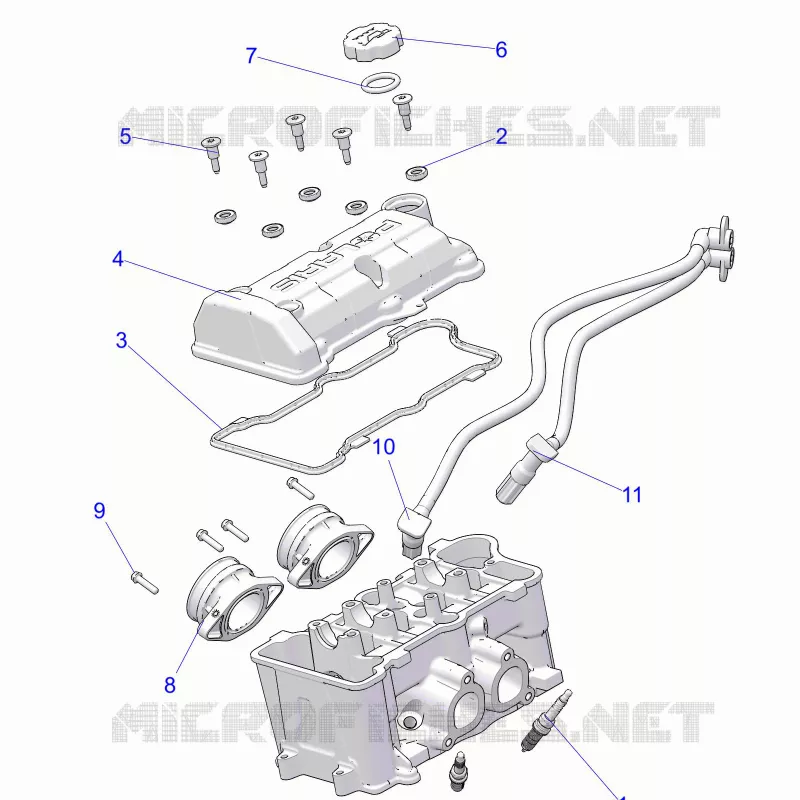 ENGINE, THROTTLE BODY AND TAPA DE LA VÃLVULA