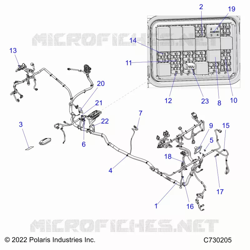 ELECTRICA, WIRE HARNESS