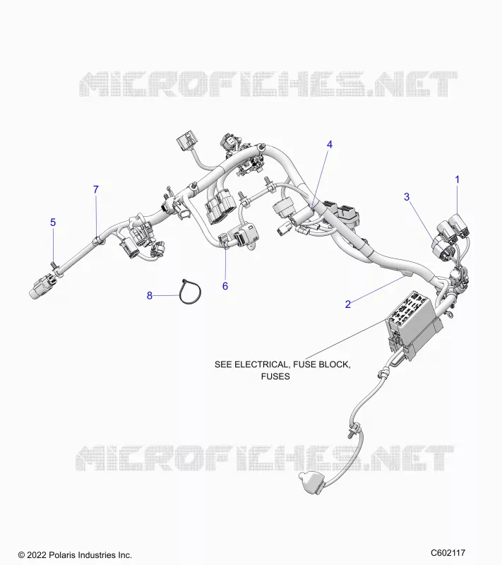 ELECTRICA, WIRE HARNESS, MAIN