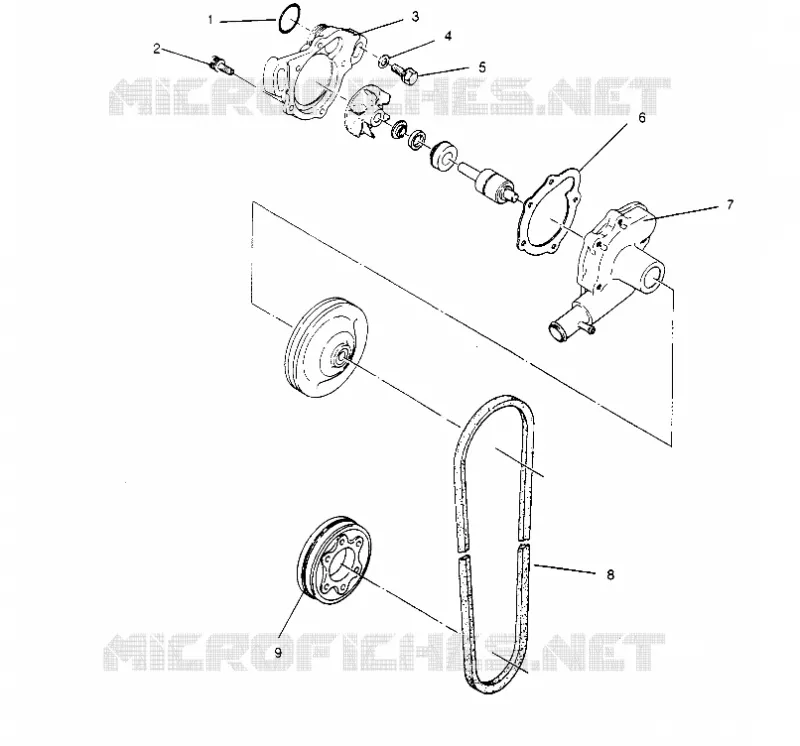BOMBA DE AGUA 440 0952760, 440 SKS 0952560,  and EUROPEAN 440 SKS E952560 (4929032903C009)