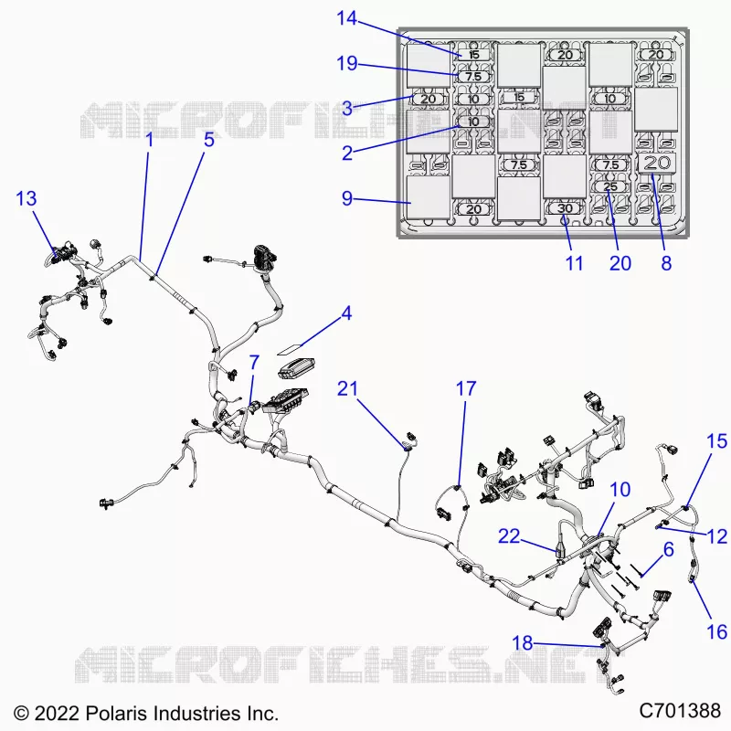 ELECTRICA, WIRE HARNESS