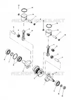 PISTON AND CIGUEÑAL (4910961096017A)