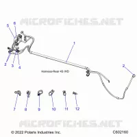 ELECTRICA, WIRE HARNESS, REAR