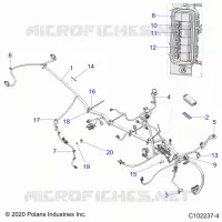 ELECTRICA, HARNESS