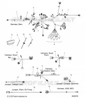 ELECTRICA, WIRE HARNESS