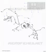 ELECTRICA, WIRE HARNESS