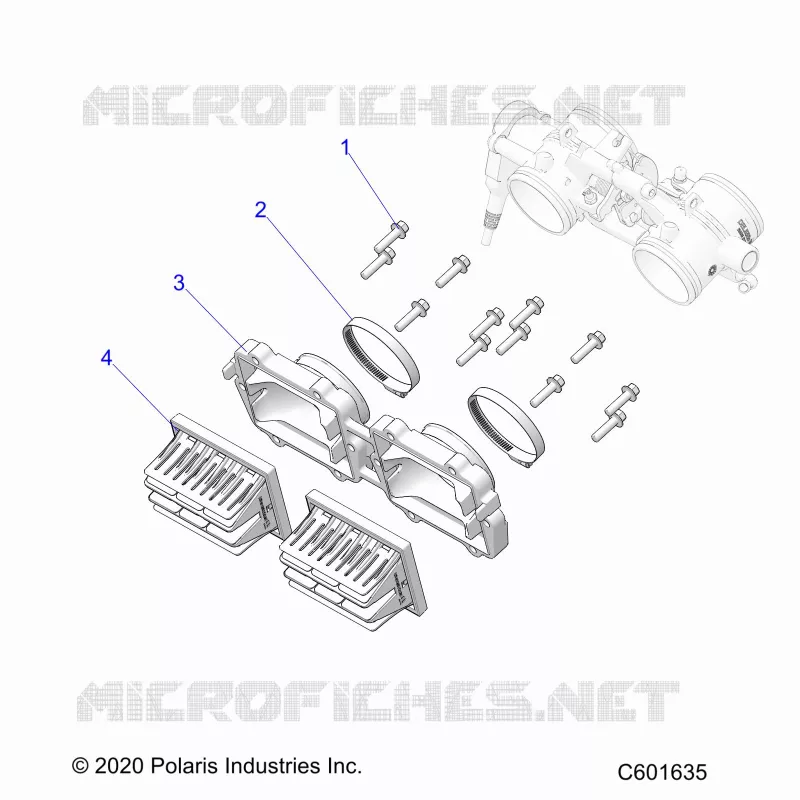 ENGINE, REED VALVE AND CUERPO DE MARIPOSA ADAPTOR