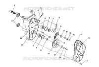 CADENACASE ASSEMBLY 440 / 0930760 AND 440 SKS / 0930560 (4922932293017A)