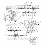 MONTAJE DE ENGRANAJES WIDETRAK / 0932064 (4922982298017A)