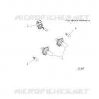 ELECTRICA, BULBS