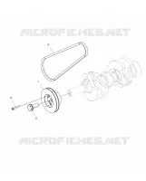 ENGINE, POLEA AND DRIVE BELT