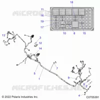 ELECTRICA, WIRE HARNESS