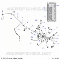 ELECTRICA, HARNESS