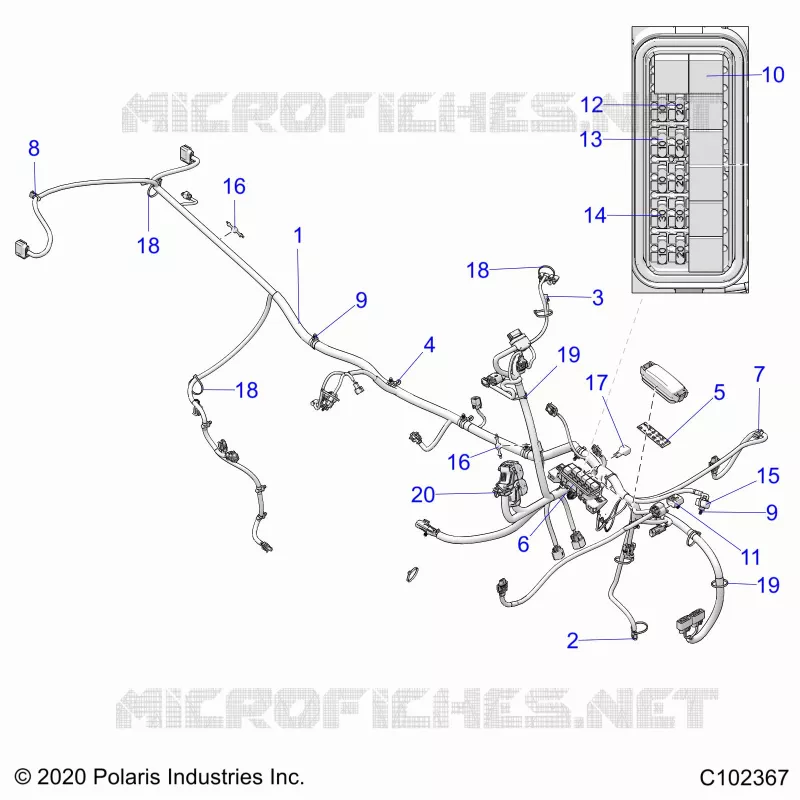 ELECTRICA, HARNESS