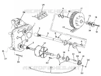 TRACK AND EJE DE TRANSMISIÓN SuperTrak (4919291929021A)