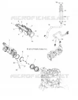 CUERPO DE MARIPOSA and INJECTOR