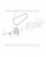 ENGINE, POLEA AND DRIVE BELT
