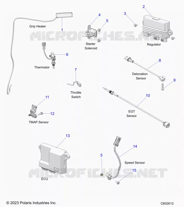 ELECTRICA, COMPONENTS