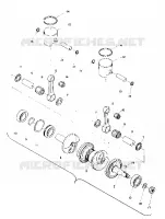 PISTON AND CIGUEÑAL (TRAIL) (4909500950033A)