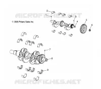 CIGUEÑAL AND BALANCE SHAFT