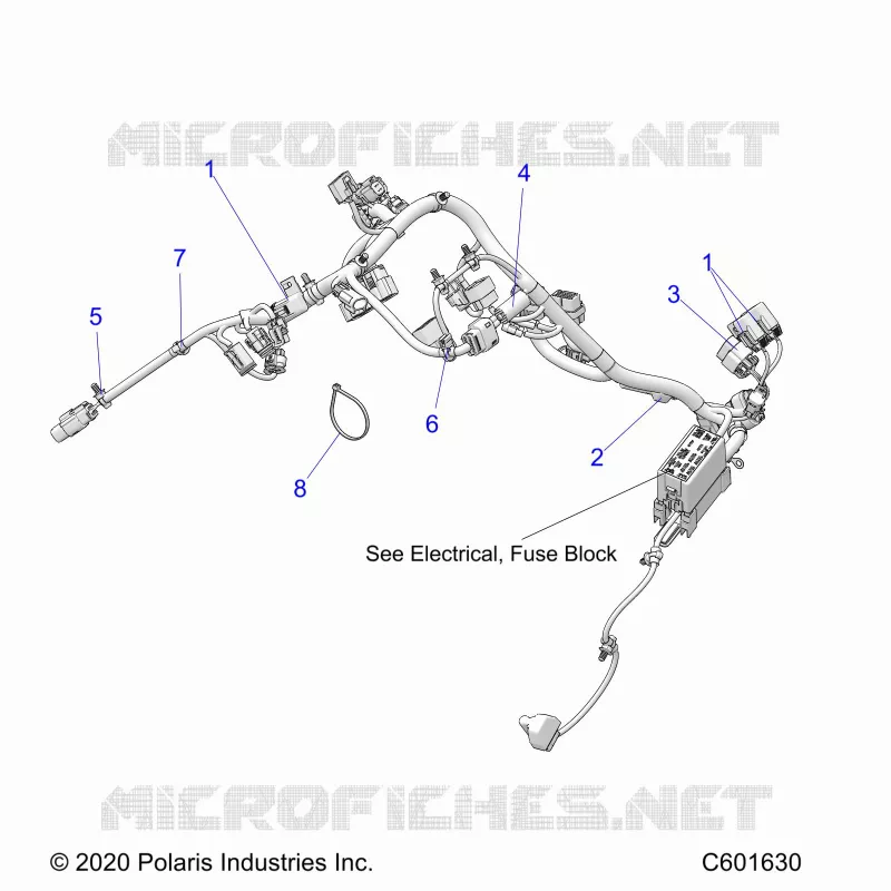 ELECTRICA, WIRE HARNESS, MAIN