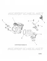 CUERPO DE MARIPOSA AND FUEL RAIL