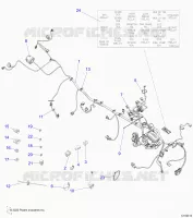 ELECTRICA, HARNESS