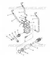Bomba de aceite XLT/0930767,XLT SP/0930667    XLT SKS/0930567 (4923012301038A)