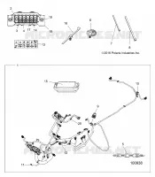 ELECTRICA, HARNESS