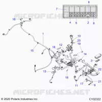 ELECTRICA, HARNESS