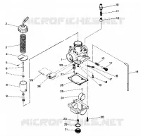 CARBURADOR ASSEMBLY (4913521352041A)