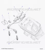 ELECTRICA, IGNITION COIL/SPARK PLUGS