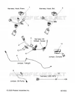 ELECTRICA, JUMPERS/WIRE HARNESS