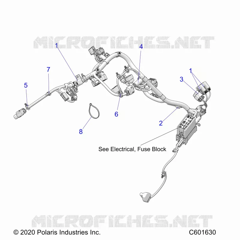 ELECTRICA, WIRE HARNESS, MAIN