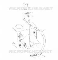AGUA SIPHON