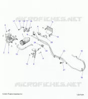 SISTEMA DE COMBUSTIBLE, FUEL TANK EVAP SYSTEM