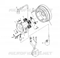MAGNETO ASSEMBLY TRAIL BLAZER / W927221 (4922852285036A)