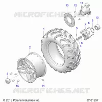 RUEDAS, REAR TIRE AND BRAKE DISC