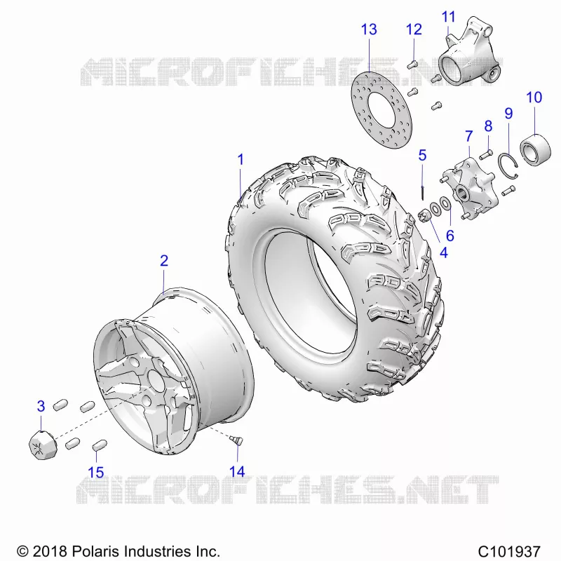 RUEDAS, REAR TIRE AND BRAKE DISC