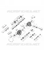 DRIVE TRAIN, PRINCIPAL GEARCASE INTERNALS