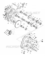 MONTAJE DE ENGRANAJES 250 2X4/W927527 (4922862286025A)