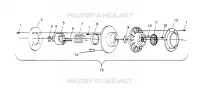 accionado de embrague ASSEMBLY 440 0952760, 440 SKS 0952560,  and EUROPEAN 440 SKS (4929032903C002)
