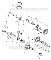 CIGUEÑAL AND PISTON ASSEMBLY (4918541854042A)